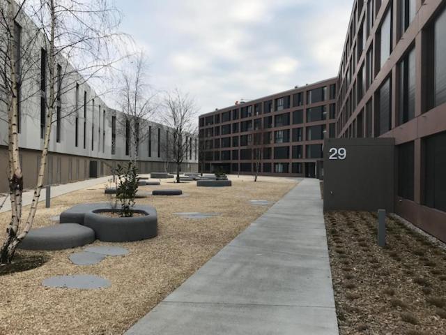 modern studio with mezzanine room 2